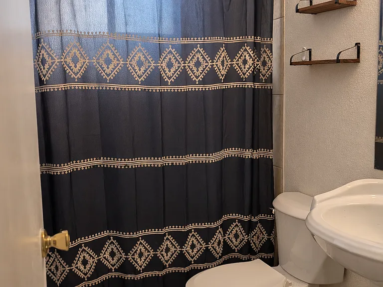 Hallway bathroom, walk-in shower