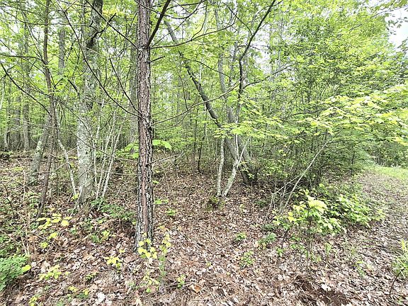 5th image of 6070 Raulston Falls Rd Lot 97