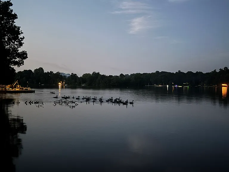 1347 Lake Orange Rd — Photo 38