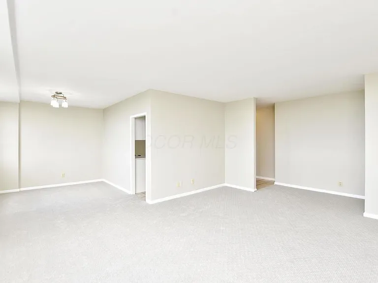 1620 E Broad St #1202 — Photo 13