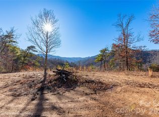 99999 Sourwood Rd, Canton, NC 28716