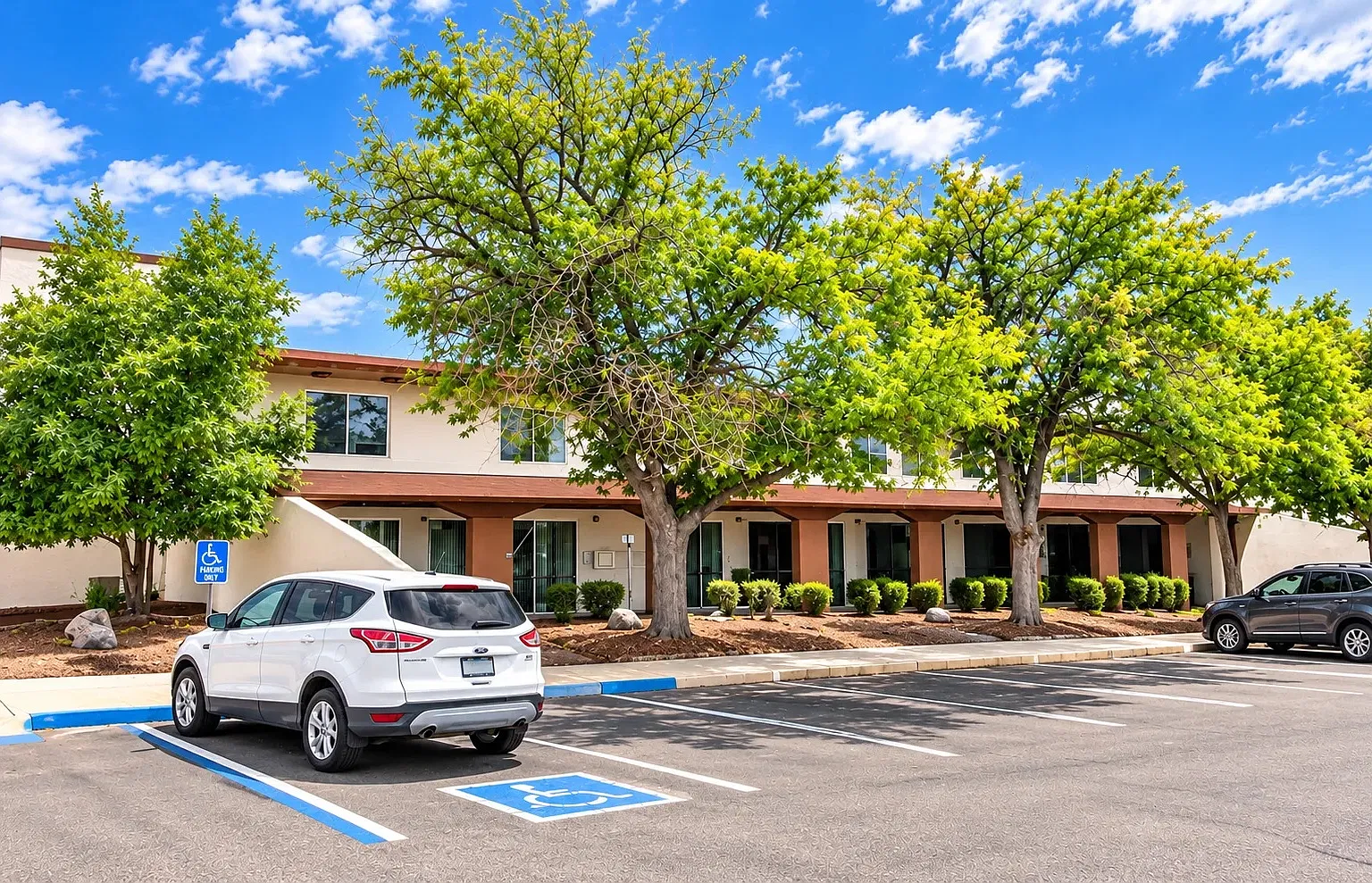 Sun Haven Apartments — Photo 4