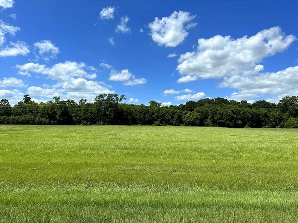 16702 Hamill Drive, Rosharon, TX 77583
