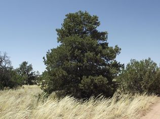 2822 S Mountain View Rd #318, Williams, AZ 86046