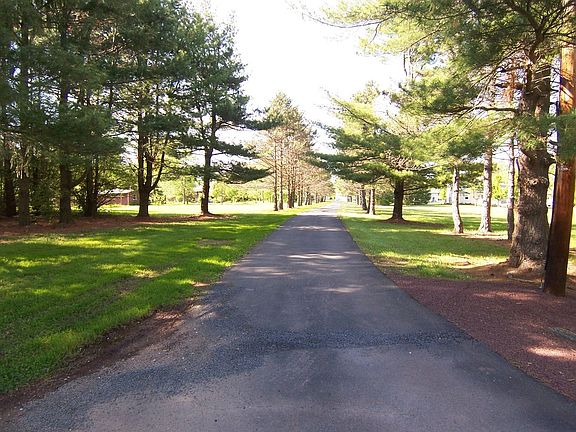 Private tree lined driveway