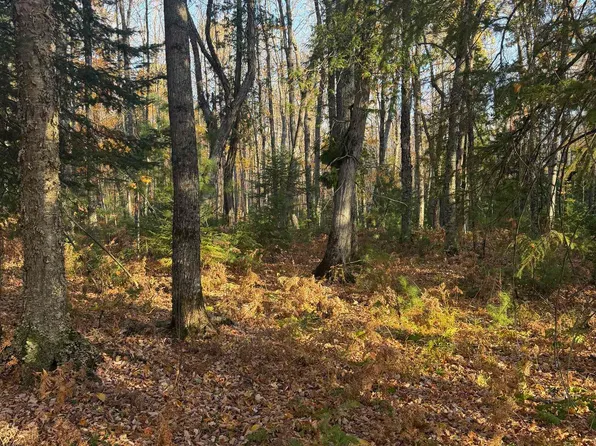 27 Yellow Rd, Nisula, MI 49952