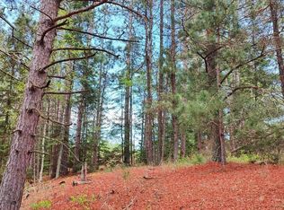 80064 Osprey Pass, Tower, MN 55790