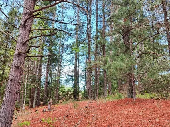 80064 Osprey Pass, Tower, MN 55790