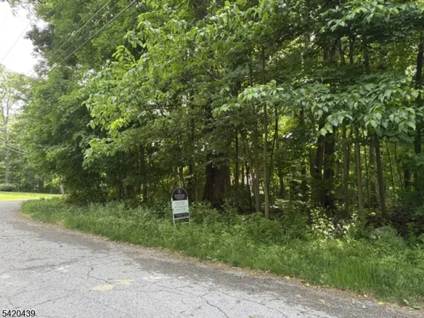 3 Wood Dale Court, Vernon Twp., NJ 07461