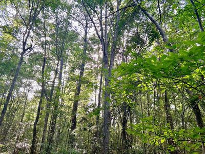 0 Estes Trl SW, Mc Call Creek, MS, 39647