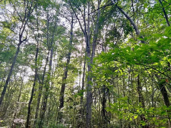 0 Estes Trl SW, Mc Call Creek, MS 39647