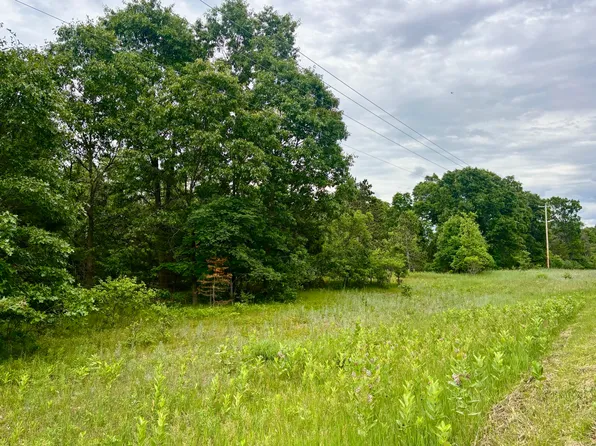 Whitehall Rd, Whitehall, MI 49461