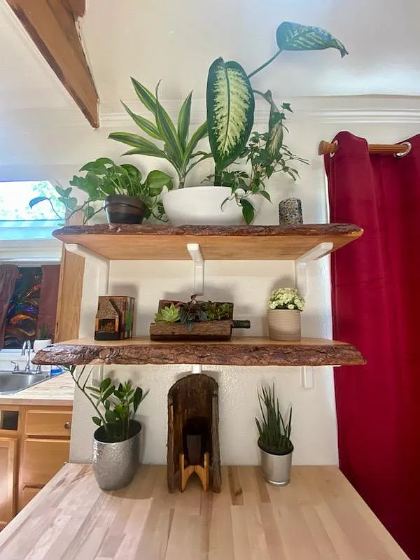 2 bed, 644 sqft, $1,625 — Photo 4