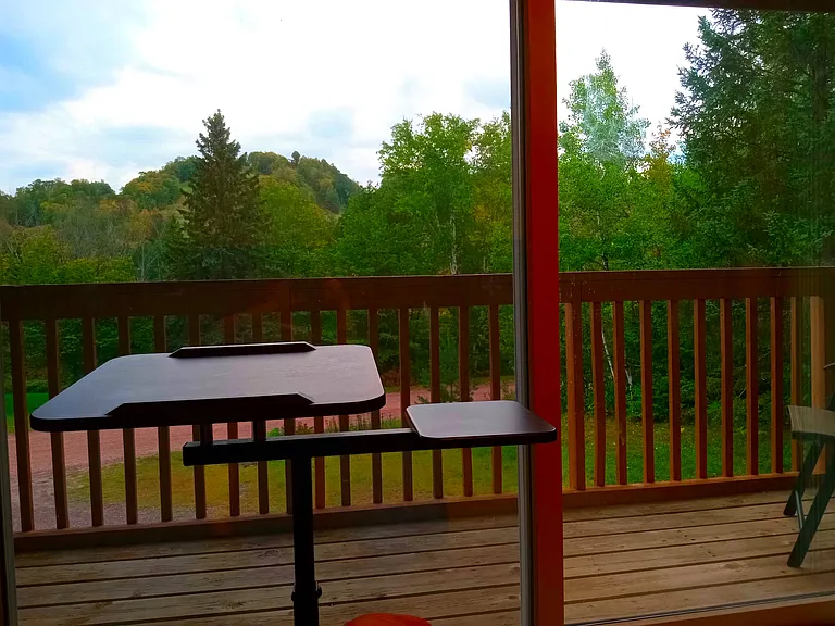 6368 Snowflake St #2 — Photo 7