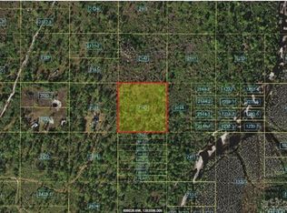 Holopaw Groves Rd, Saint Cloud, FL 34773