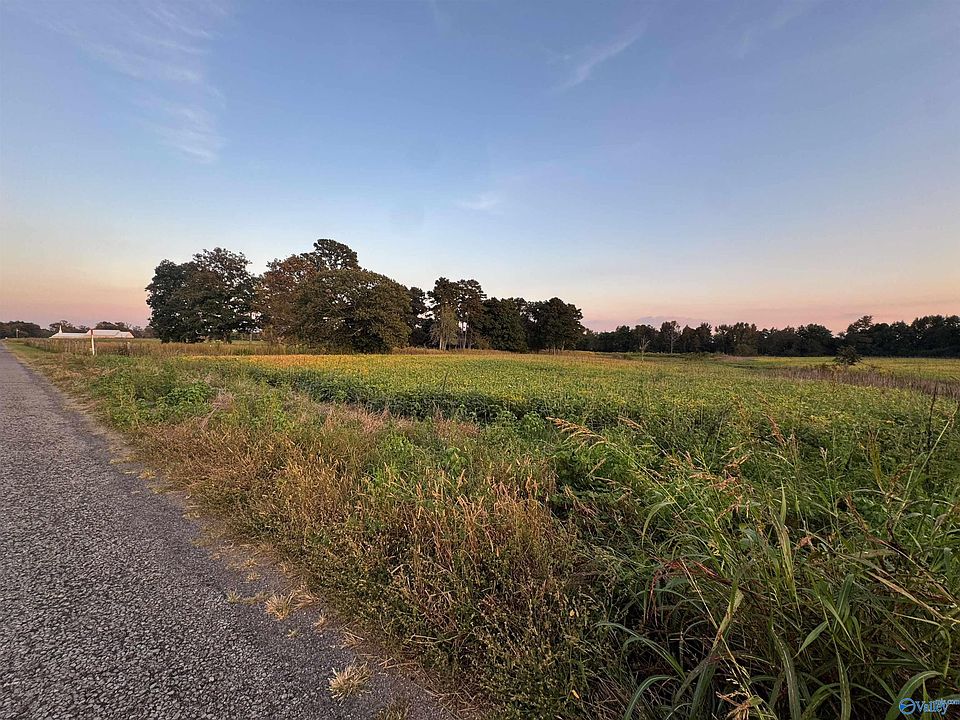 1st image of County Road 337