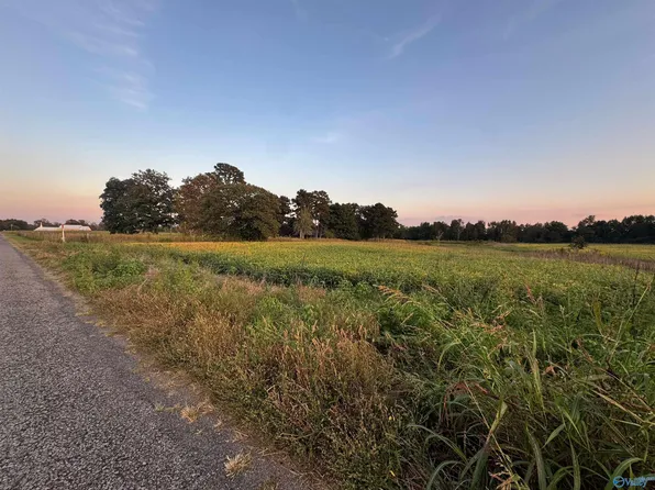 County Road 337, Section, AL 35771
