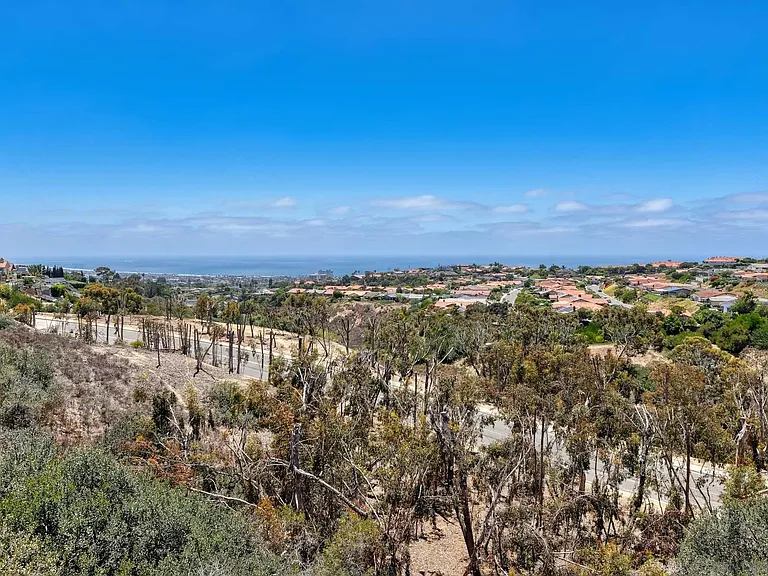 2222 Bahia Dr — Photo 23