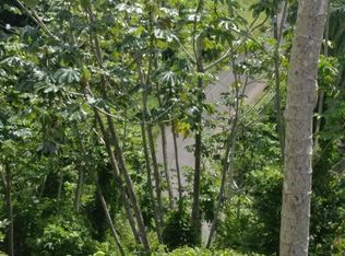 Bo Montoso Rd #339, Mayaguez, PR 00680