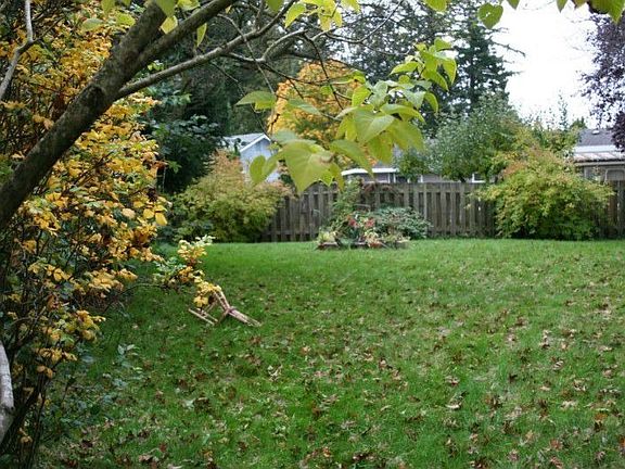 Fully fenced back yard - great for kids, pets, and privacy.