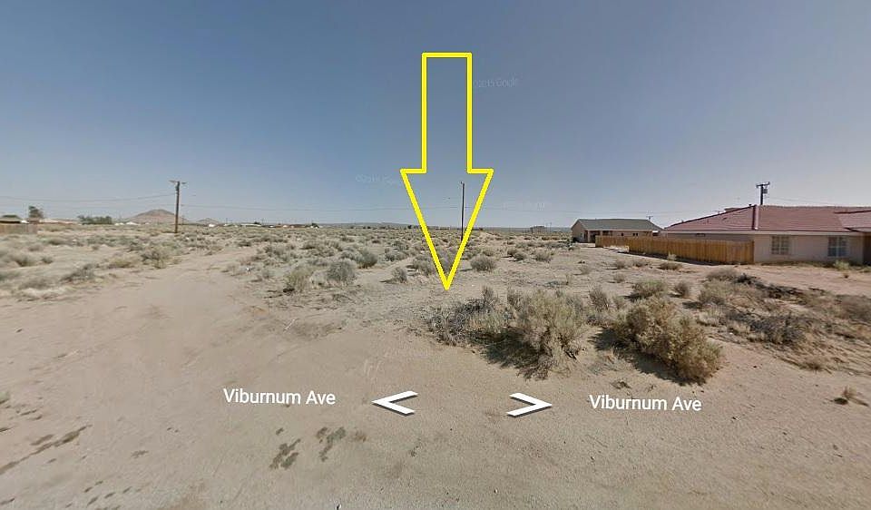 1st image of Vibernum Ave