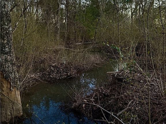 4th image of 34350 Pleasant Valley Rd