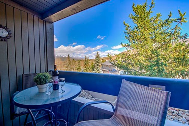 317 W La Bonte Street UNIT 107, Dillon, CO, Dillon