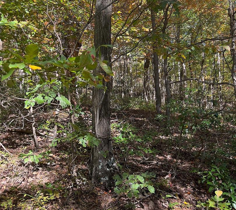 1st image of Fox Trl Lot 5A