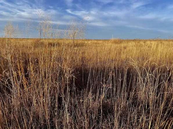 County Rd W, Eads, CO 81036