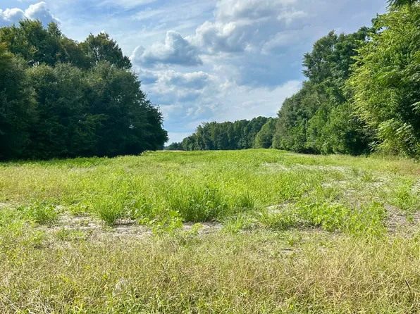 Tr #2 Mcqueen Road, Laurinburg, NC 28352