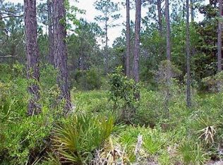 169 Central 7th St, Santa Rosa Beach, FL 32459