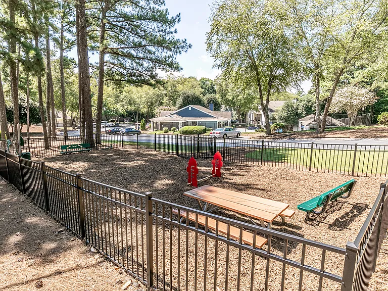 Private Paw Park with Agility Equipment