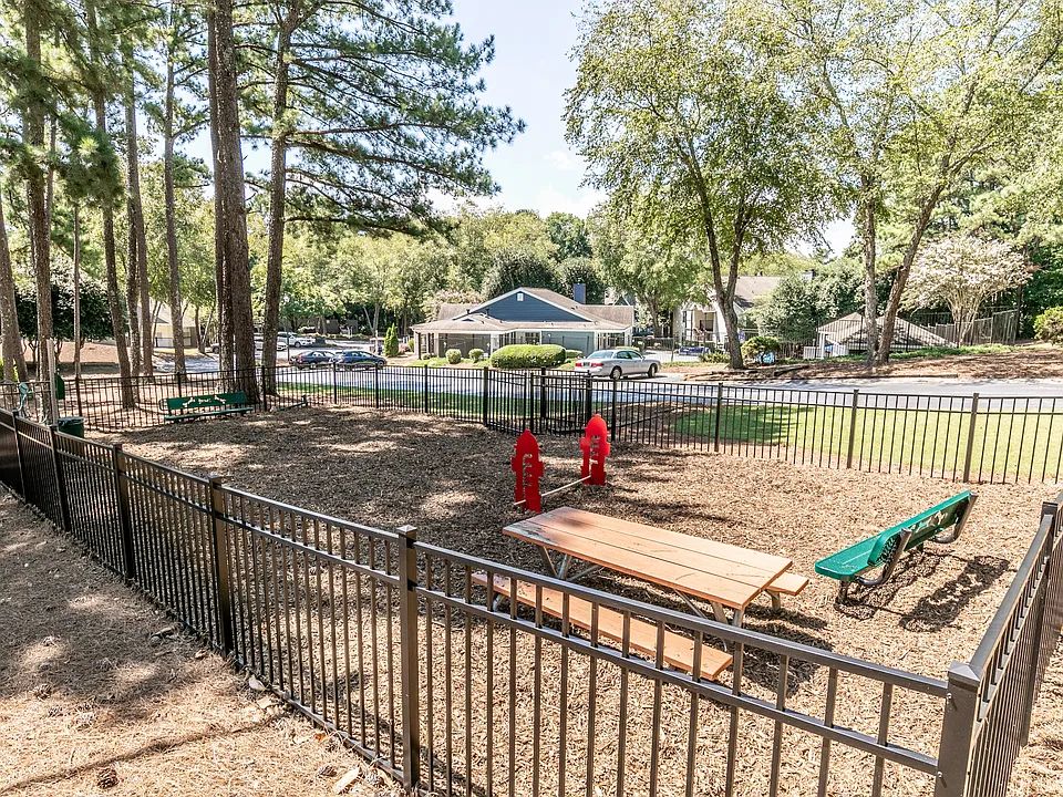 Private Paw Park with Agility Equipment