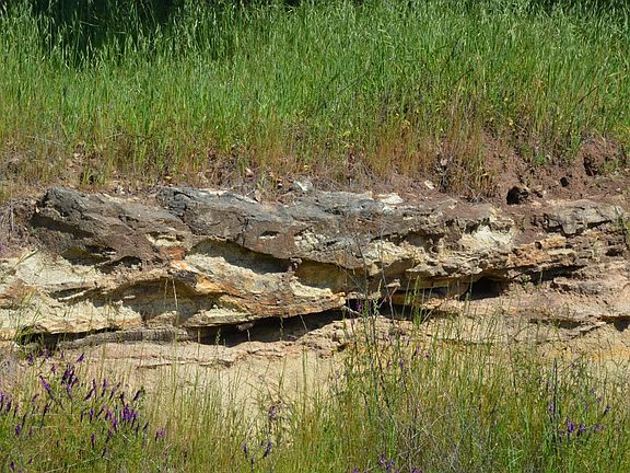 3rd image of 2186 Monticello Road