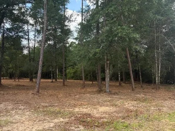 0 Forest Glen Dr, Fountain, FL 32438