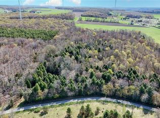 2788 Williamson Rd, Greenwood, NY 14839