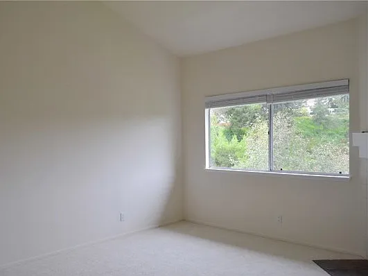 24853 Nueva Vista Dr #12 — Photo 23