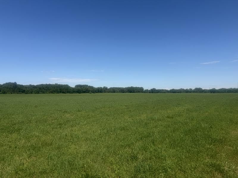 Chambers Rd, photo 12