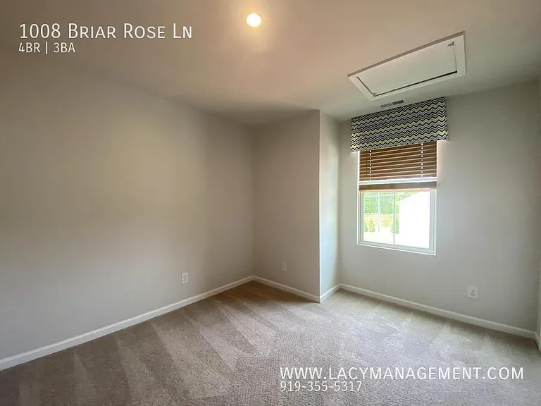 1008 Briar Rose Ln — Photo 13