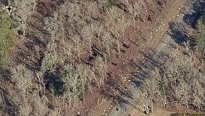 2nd image of 10182 N Allegheny Way