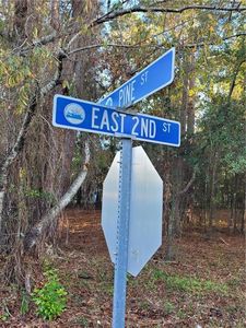 Vacant Lot Pine St, Darien, GA, 31305