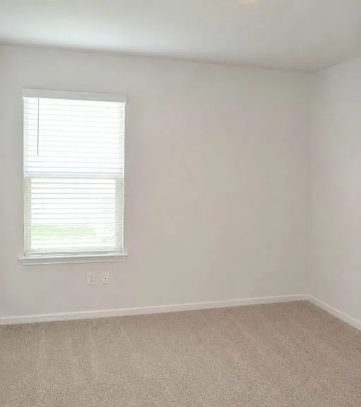 2477 Bee Creek Dr — Photo 16