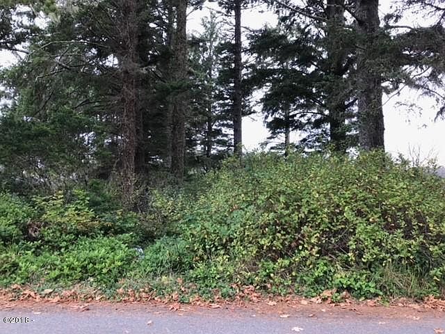 2nd image of 6815 Rhodedendron