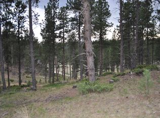 Cliff View Pl, Nemo, SD 57759