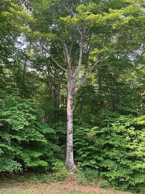 1st image of 7634 Whisper Hollow Ln Lot 27