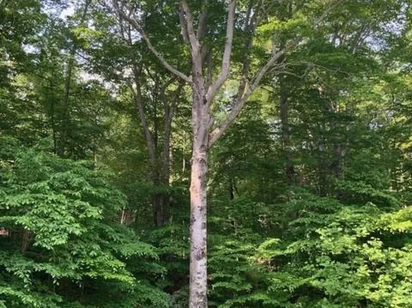 7634 Whisper Hollow Ln Lot 27, Lewisville, NC 27023