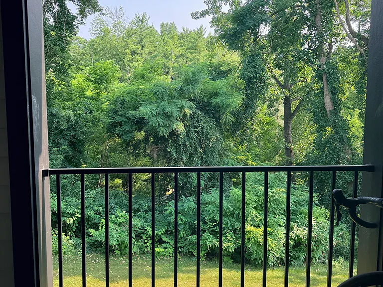 26 Excelsior Spring Ave — Photo 5