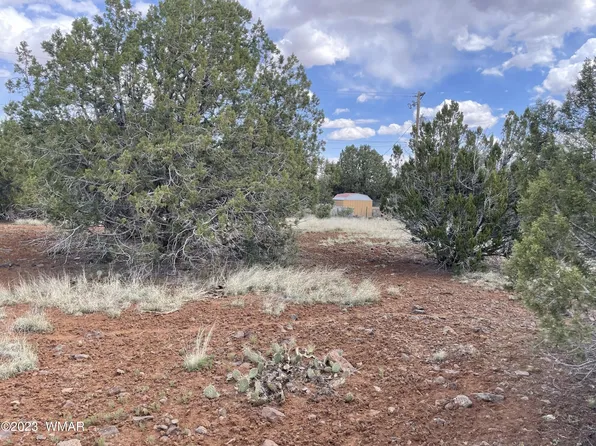 1879 Turkey Flat Pl, Show Low, AZ 85901