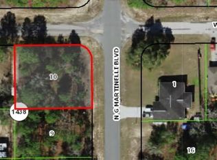 10984 N G Martinelli Blvd, Citrus Springs, FL 34433