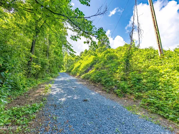 Blue Mill Rd, Del Rio, TN 37727